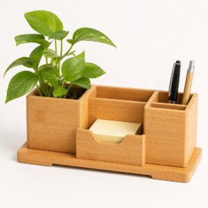 Eco-Friendly Desktop Organizer With Plant