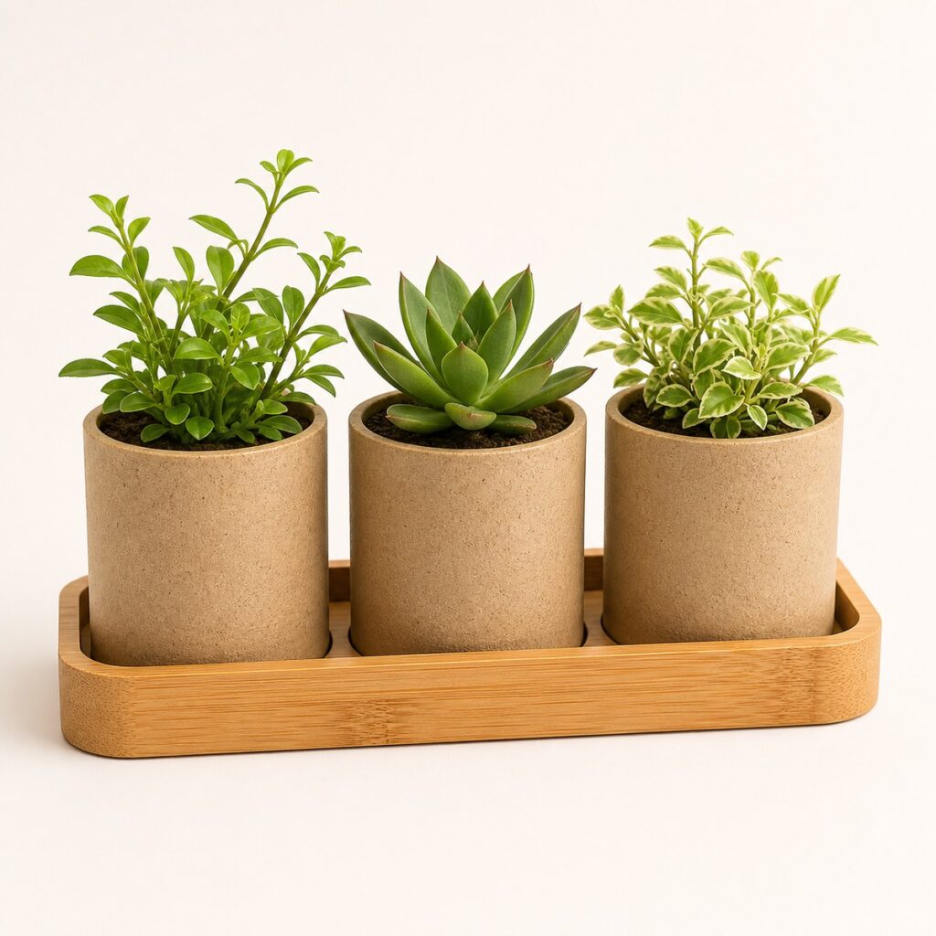 Eco-Friendly Tabletop Planter Set