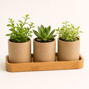 Eco-Friendly Tabletop Planter Set