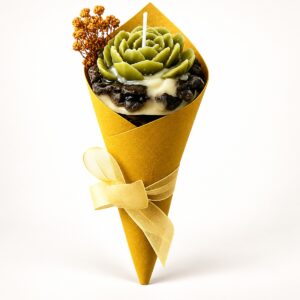 Succulent Plant Cone Gift Hamper