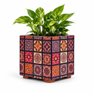 Box Print Planter