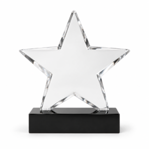 Clear Acrylic Star Award