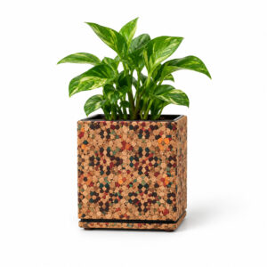 Multicolored Planter Design 1