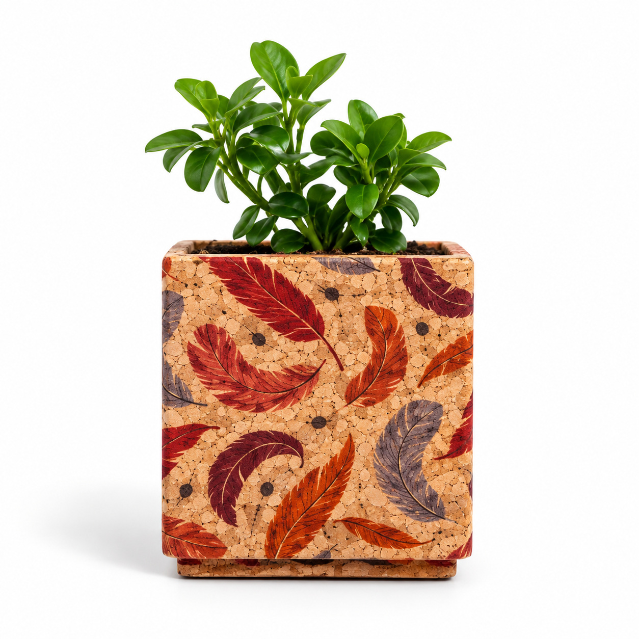 Feather Planter