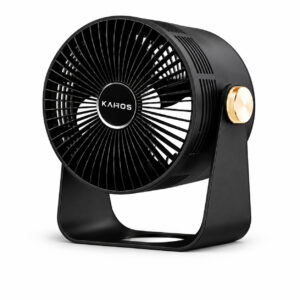 Mini Fan