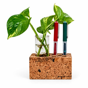 Planter Cum Pen Holder